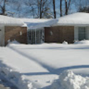 Meet your Posher, Leotis